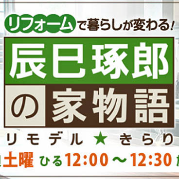 テレビ放送／辰巳琢郎の家物語 リモデル☆きらり